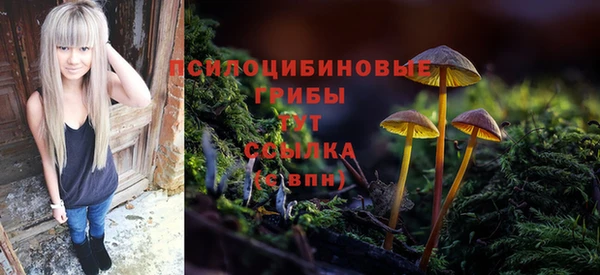 марихуана Заводоуковск