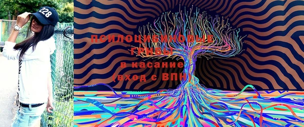 прущие крисы Заволжье