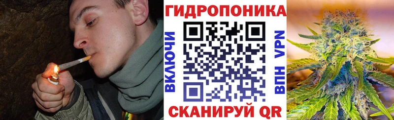 купить Катайск MEGA ONION Шишки марихуана White Widow